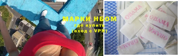 ПСИЛОЦИБИНОВЫЕ ГРИБЫ Липки