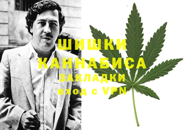 ПСИЛОЦИБИНОВЫЕ ГРИБЫ Липки