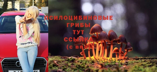 ПСИЛОЦИБИНОВЫЕ ГРИБЫ Липки